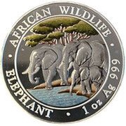 100 Shillings Elephant, Somalia, 2013 reverse image