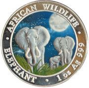 100 Shillings Elephants at Night, Somalia, 2014 reverse image