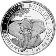100 Shilling Elephant, Somalia, 2021 reverse image