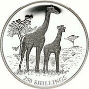 250 Shillings Giraffes, Somalia, 1999 reverse image