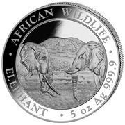 500 Shillings Elephant, Somalia, 2020 reverse image