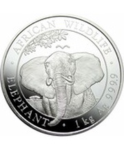 2000 Shillings Elephant, Somalia, 2021 reverse image