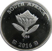 2½ Cents Dolos obverse image