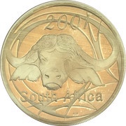 20 Cents Buffalo - Power of Africa obverse image