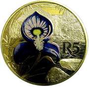 5 Rand Blue Bearded Disa - Colourized, South Africa, 2016 reverse image