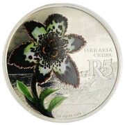 5 Rand Starfish Lilly - colourized, South Africa, 2017 reverse image