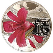 5 Rand Grass Crinum - colourized, South Africa, 2018 reverse image