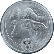 5 Rand The Big Five Series I - Buffalo obverse image