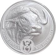 5 Rand Big Five Series II; Buffalo obverse image