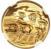 10 Rand - ⅒ Ounce Natura - African Painted Wolf obverse image