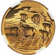 20 Rand - ¼ Ounce Natura - African Painted Wolf obverse image