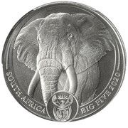 20 Rand The Big Five Series I - Elephant obverse image