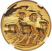 50 Rand - ½ Ounce Natura - African Painted Wolf obverse image