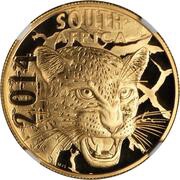 50 Rand - ½ Ounce Natura - Leopard obverse image
