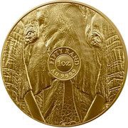50 Rand Big Five Series II - African Elephant reverse image