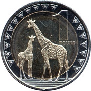 1 Pound reverse image