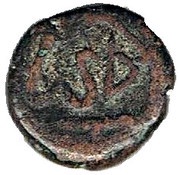 ¼ Stuiver reverse image