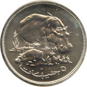5 Pounds Conservation reverse image