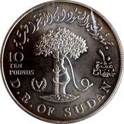 10 Pounds IYDP, Sudan, 1981 reverse image