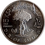 10 Pounds IYDP; Piedfort, Sudan, 1981 reverse image