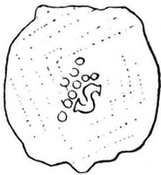 Denier, Switzerland, 1072-1191 reverse image