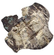 Denier reverse image