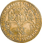 9 Ducats "Gold Schnabeltaler" obverse image