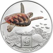 100 Shillings Green Sea Turtle, Tanzania, 2016 reverse image