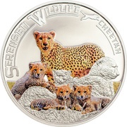 1000 Shillings Cheetah, Tanzania, 2013 reverse image