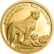 1500 Shillings Cheetah, Tanzania, 2013 reverse image