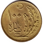 100 Para reverse image