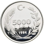 5000 Lira U.N. Decade for Women obverse image