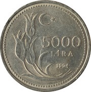 5000 Lira reverse image