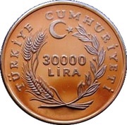 30 000 Lira International Year of Disabled Persons obverse image