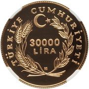 30 000 Lira Scouts obverse image
