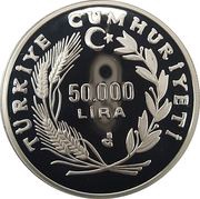 50 000 Lira Bald Ibis obverse image
