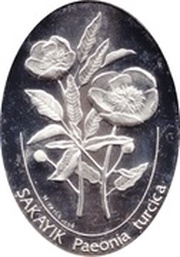 7 500 000 Lira Paeonia turcica, Turkey, 2002 reverse image