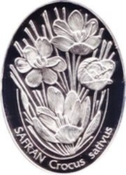 7 500 000 Lira Crocus sativus, Turkey, 2002 reverse image