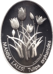 7 500 000 Lira Tulipa orphanidea, Turkey, 2002 reverse image