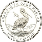 1 Kuruş Dalmatian Pelican, Turkey, 2018 reverse image