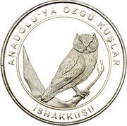 1 Kuruş Eurasian Scops Owl, Turkey, 2018 reverse image