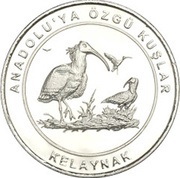 1 Kuruş Northern bald ibis, Turkey, 2018 reverse image