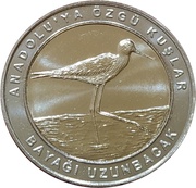 1 Kuruş Black-winged stilt reverse image