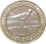 1 Kuruş Black-winged stilt reverse image
