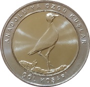 1 Kuruş Cream-colored courser reverse image