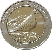 1 Kuruş Eurasian collared dove reverse image