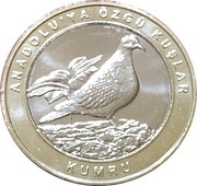 1 Kuruş Eurasian collared dove reverse image