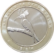 1 Kuruş Eurasian hoopoe reverse image