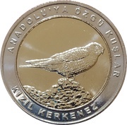 1 Kuruş Kestrel reverse image