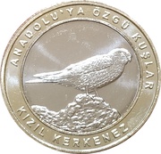 1 Kuruş Kestrel reverse image